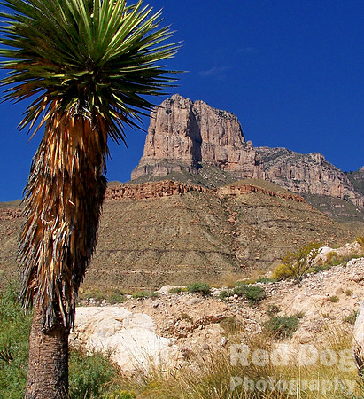 Guadalupe Mountains